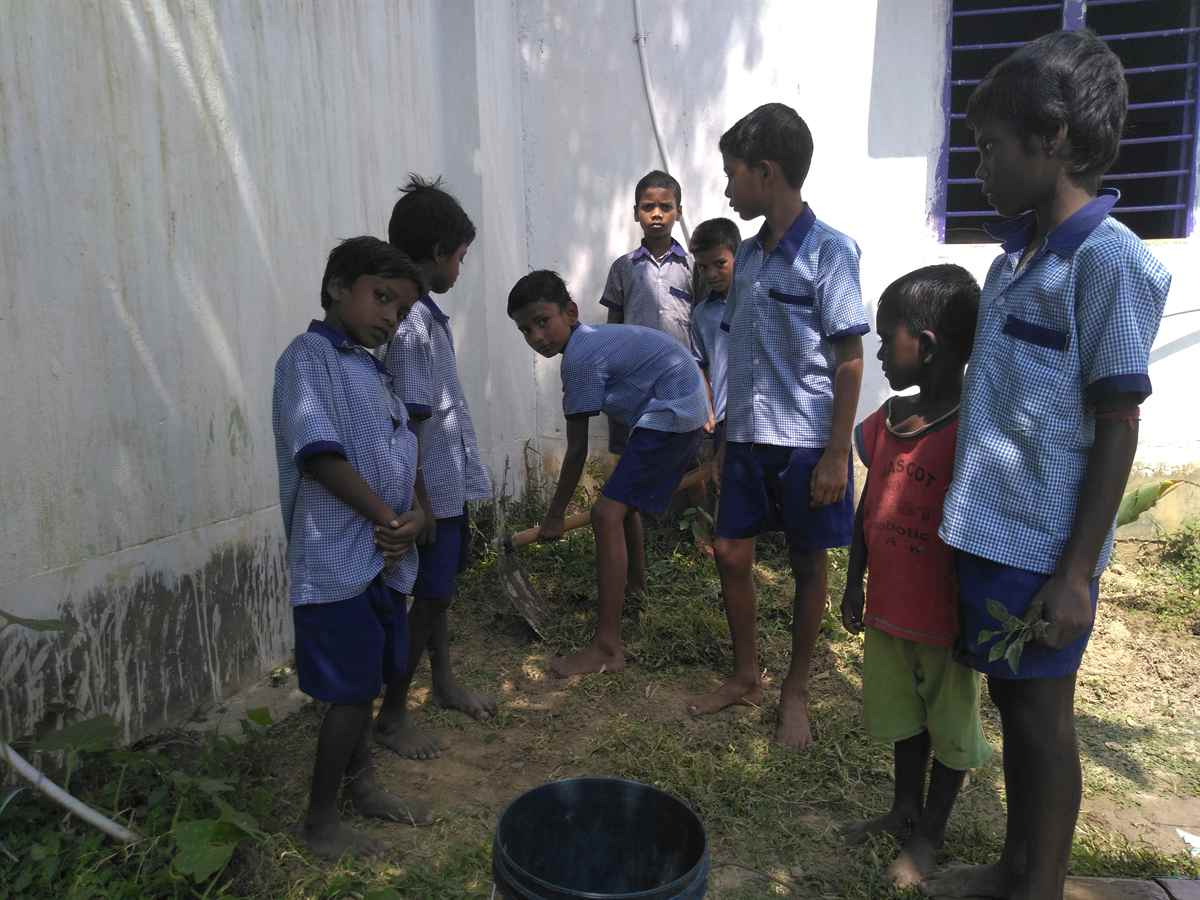 Sapling Care